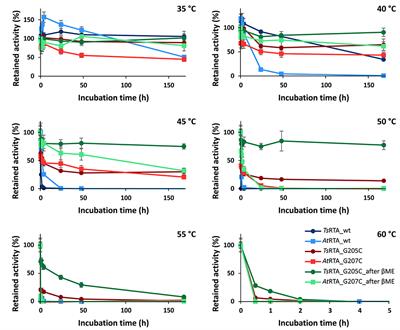 An (R)-Selective Transaminase From Thermomyces stellatus: Stabilizing the Tetrameric Form